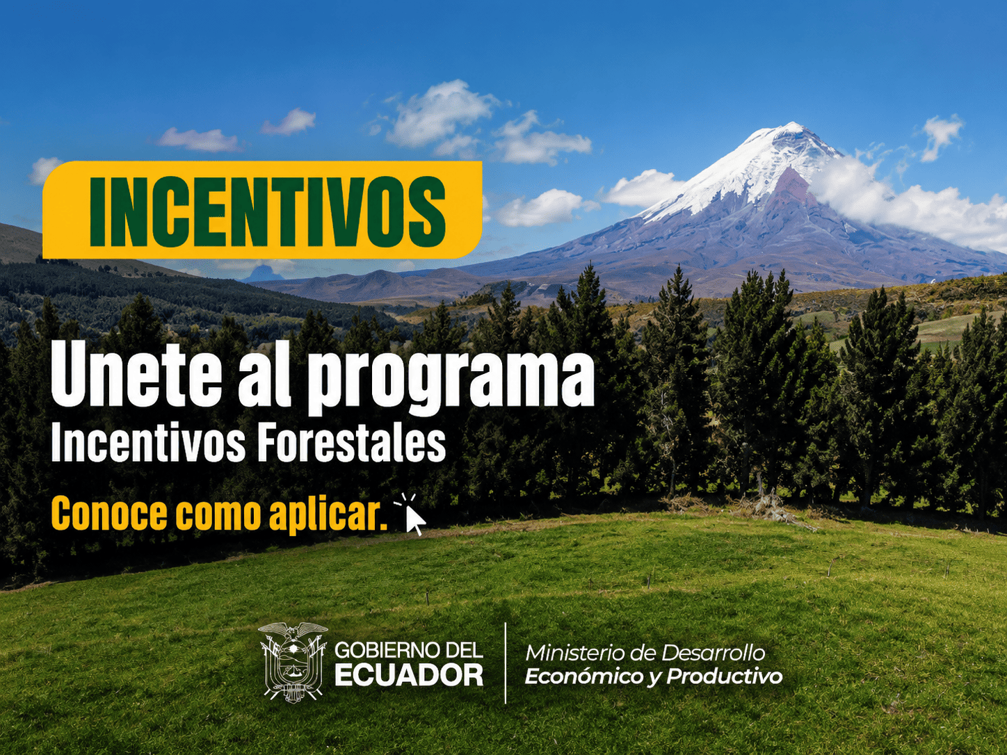 Programa de Incentivos Forestales