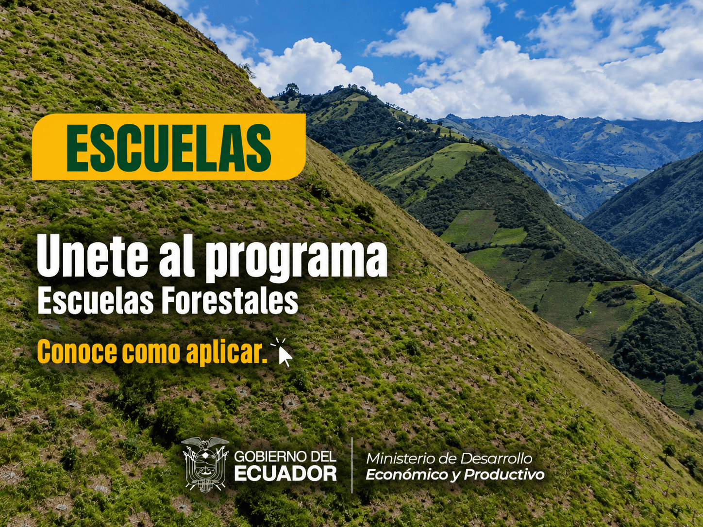 Programa de Escuelas Forestales